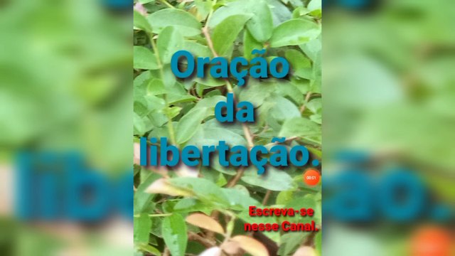 Oração da libertação. O Senhor Jesus Cristo garante a Vitória.