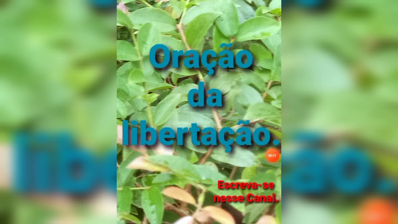 Oração da libertação. O Senhor Jesus Cristo garante a Vitória.