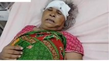 बरेली: आवारा सांडों का आतंक, बुजुर्ग महिला हुई घायल