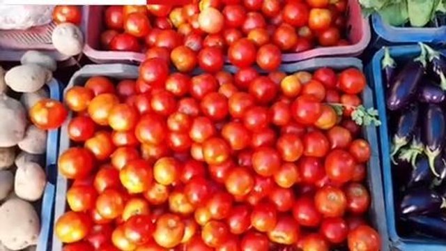 कटनी: टमाटर के दामों ने बिगाड़ा किचन का जायका,घर का बिगड़ा बजट