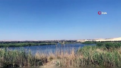 Şanlıurfa'da piknik faciası: Akıntıya kapılan 2 kişi boğuldu, 3 kişi yaralı kurtarıldı