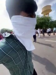 पौधे उखाड़ने को लेकर दो गुटों में बवाल