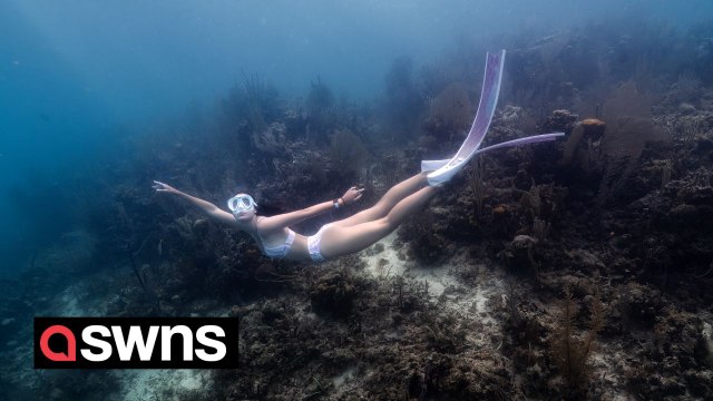 I make $300-an-hour as a professional mermaid and can hold my breath for three minutes underwater