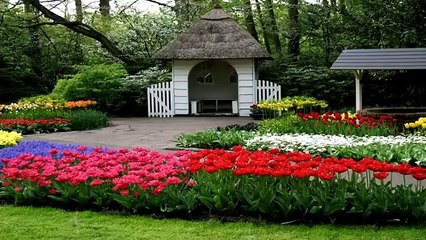 Ma Madinah chala Beautiful naat new naat naat2023