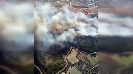 İzmir'de ormanlık alanda çıkan yangına 6 uçakla müdahale sürüyor