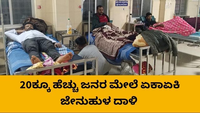 ಸಾಗರ : ಜೀನು ದಾಳಿ ; 20ಕ್ಕೂ ಹೆಚ್ಚು ಮಂದಿಗೆ ಗಾಯ