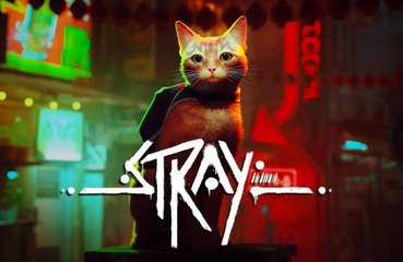 Stray is coming to Xbox
