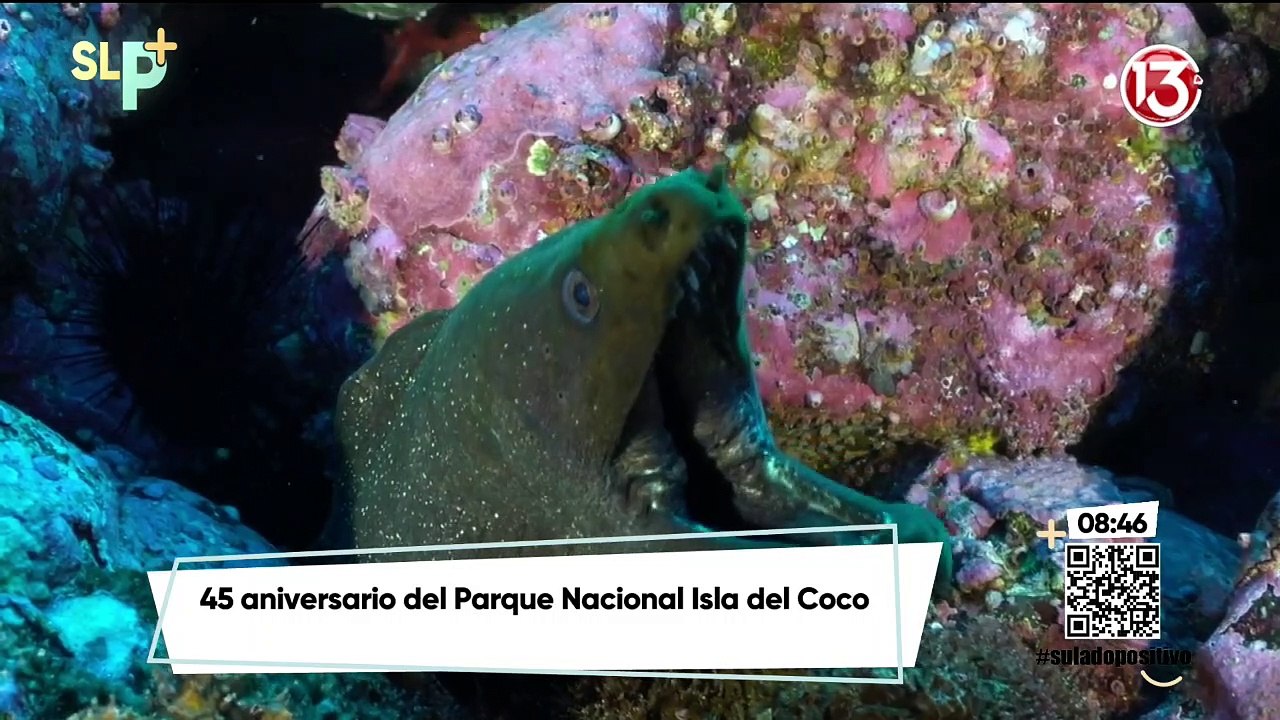 Conozca la Isla del Coco