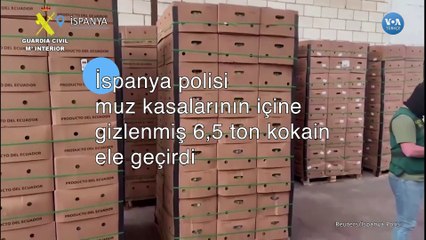 İspanya polisi muz kasalarına gizlenmiş 6,5 ton kokain ele geçirdi