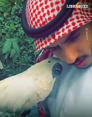 Il transforme sa maison en zoo