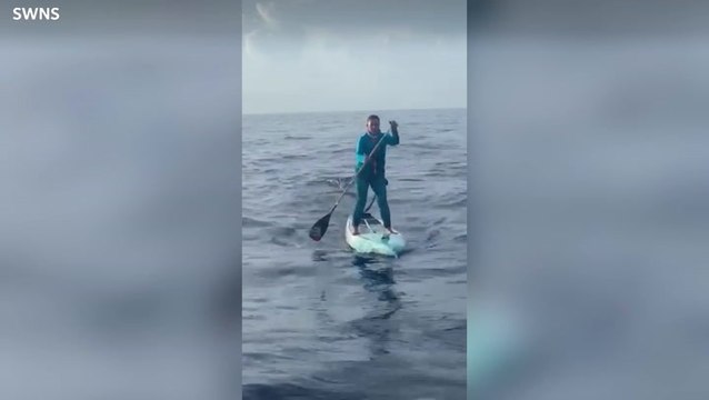 Hammerhead shark swims under Florida women paddleboarding