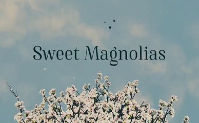 Sweet Magnolias - Trailer Saison 3