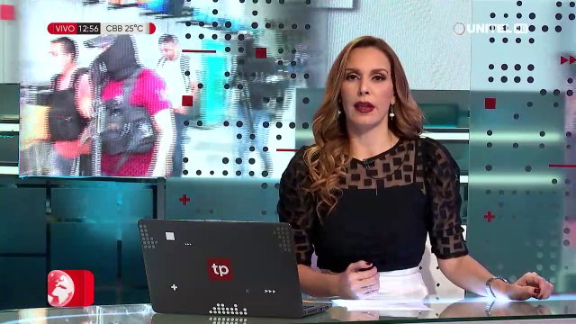 Del Castillo retoma funciones y adelanta sanciones a policías implicados en ‘narcovuelo’