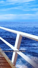 Kisah kematian nabi yahya dan nabi zakaria