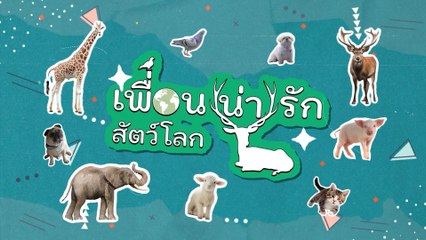เพื่อน(น่า)รักสัตว์โลก เริ่ม 2 ก.ค.นี้