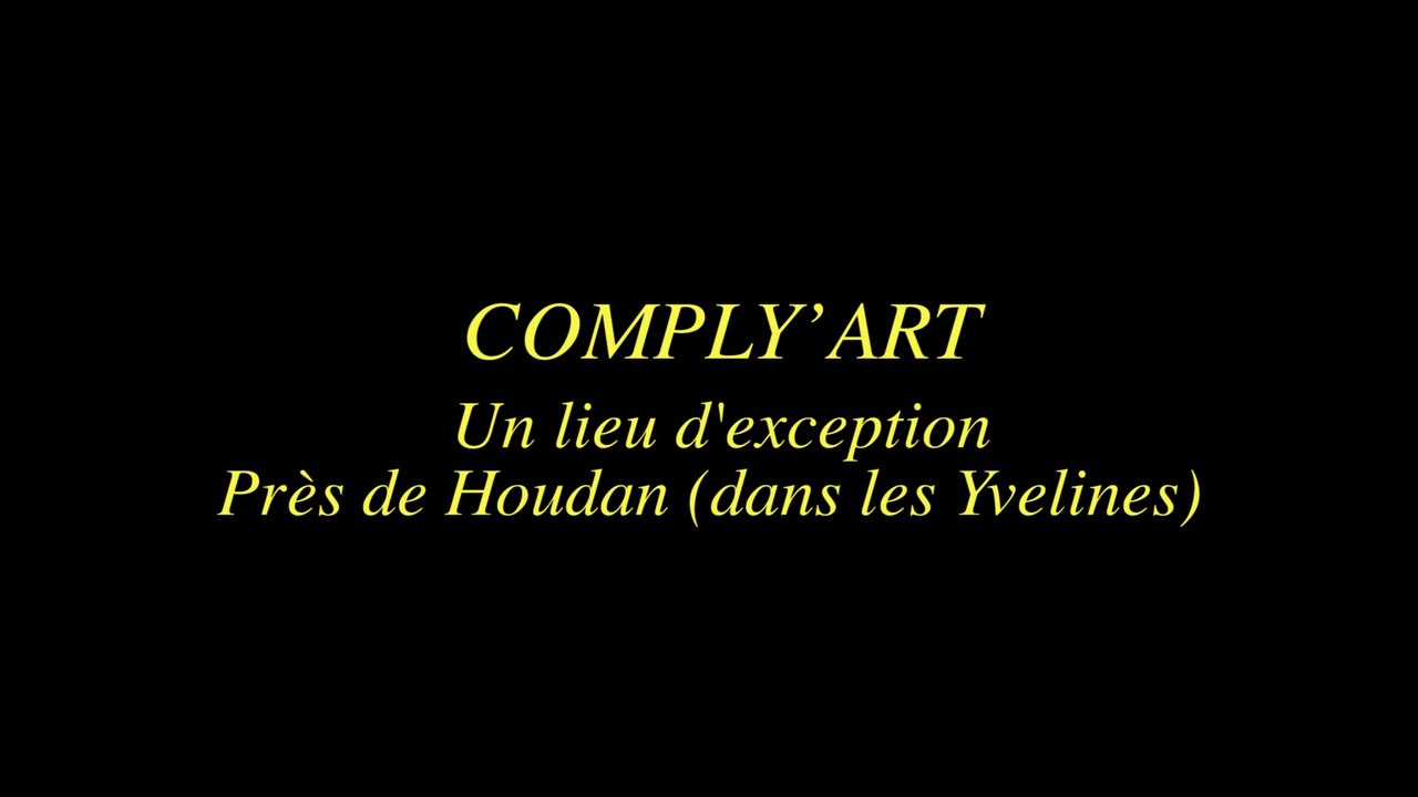 REPORTAGE GALERIE COMPLY'ART