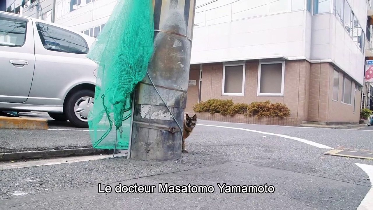 Professeur Yamamoto part à la retraite Bande-annonce (FR)