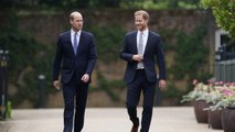 Prince William and Prince Harry Unite for Award in Name of Late Mother Princess Diana