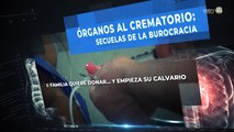 Órganos al crematorio: secuelas de la burocracia | Familia quiere donar y empieza su calvario