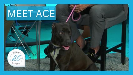 Kern Living: Meet Ace