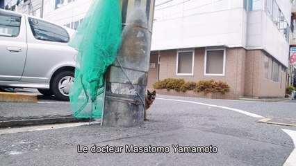 Professeur Yamamoto part à la retraite | movie | 2023 | Official Trailer