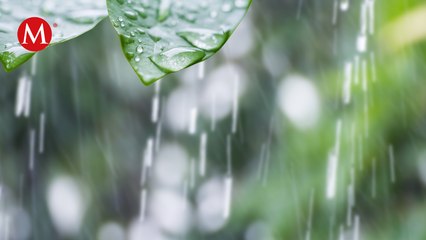 Colima suspende labores en todos los centros de trabajo por huracán Beatriz