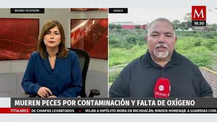 En Oaxaca, peces murieron por contaminación y falta de oxígeno en río 'Los Perros'