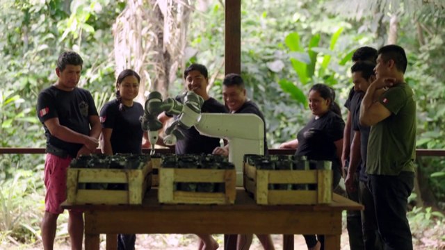 Tree-planting robot helping restore the Amazon rainforest