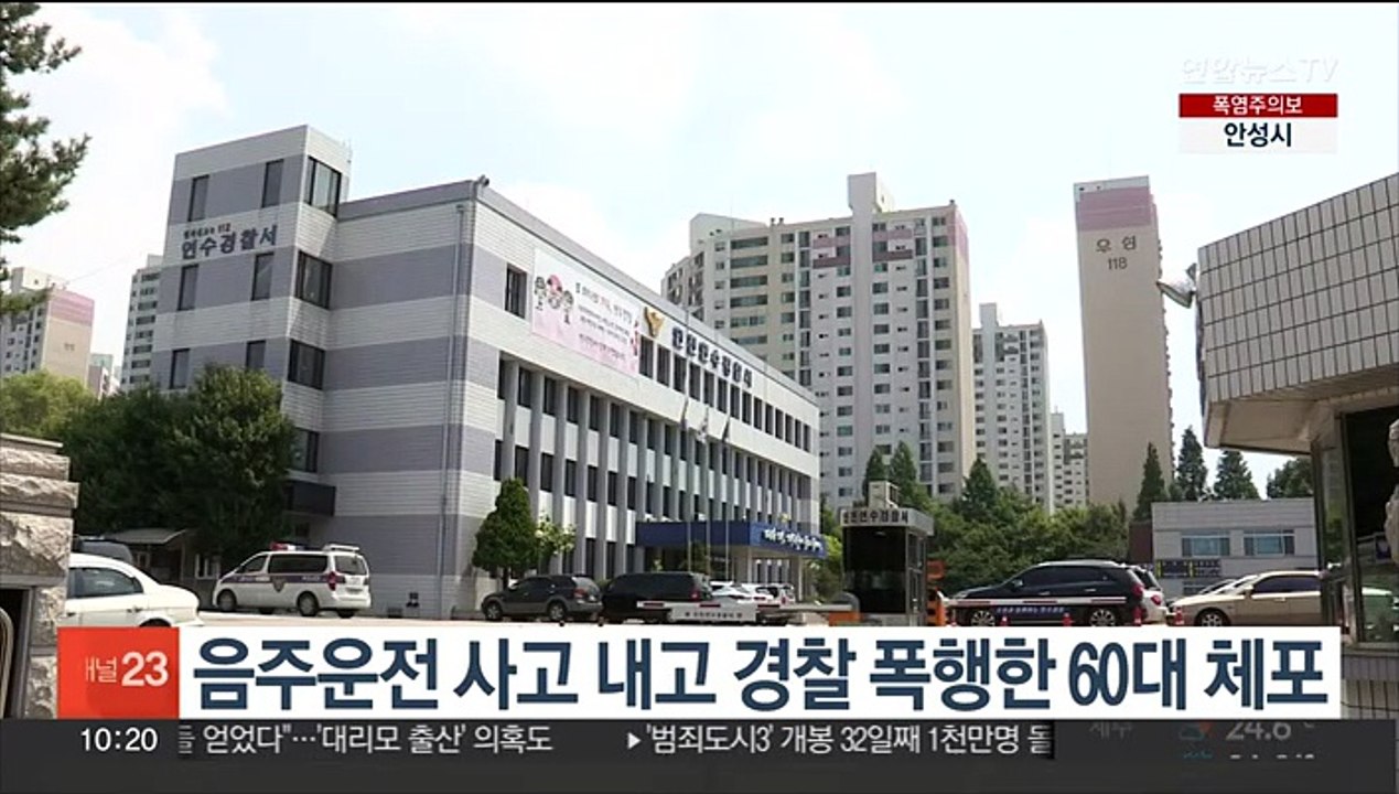 음주운전 사고 내고 경찰 폭행한 60대 체포