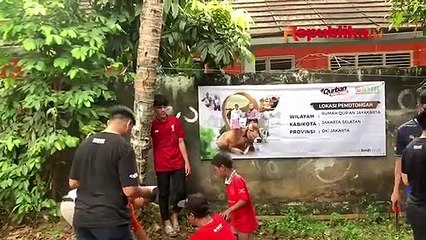 LAZ BMH Bagikan Kurban untuk Guru dan Santri