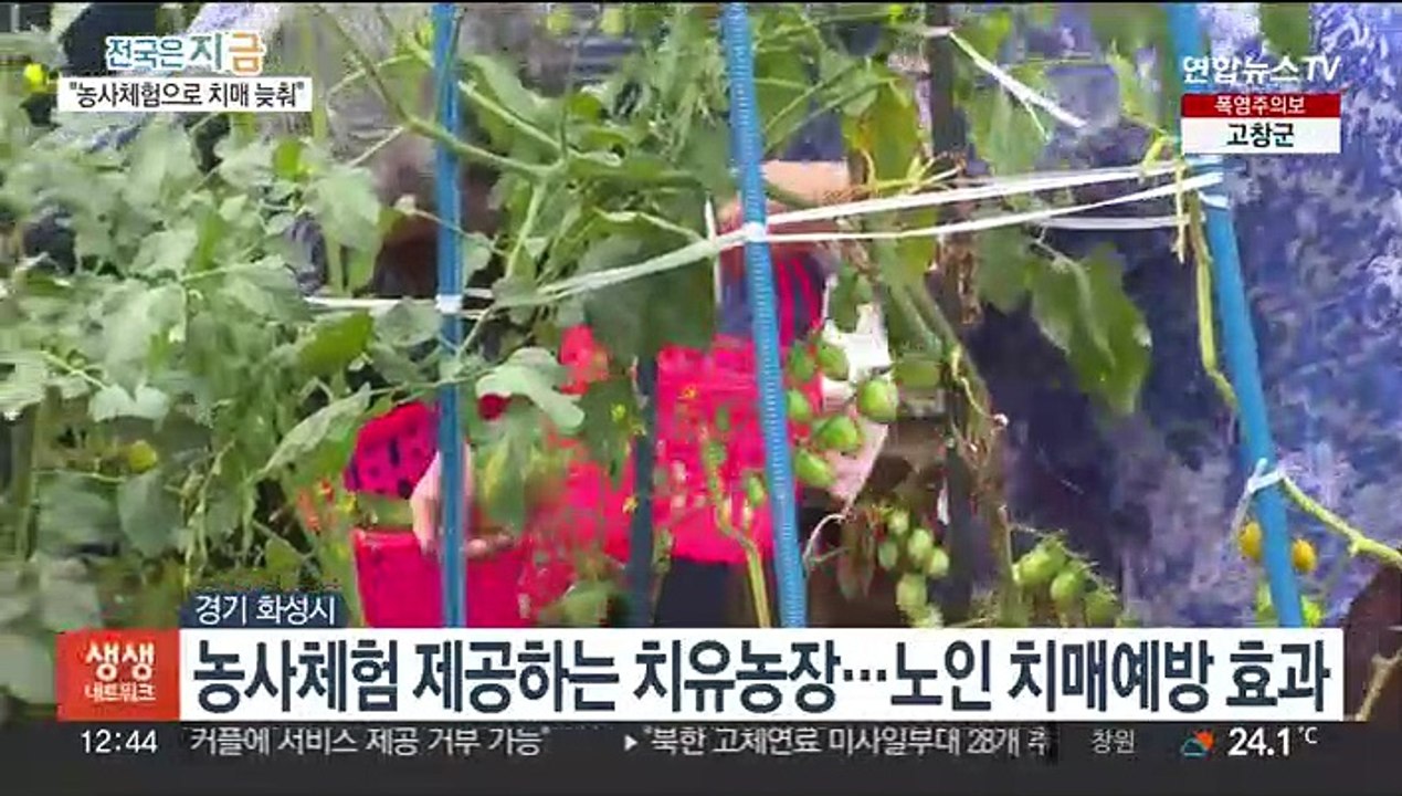 농사체험…노인 '인지장애·우울증' 개선 효과