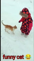 Hilarious Animal Antics That Will Make You ROFL