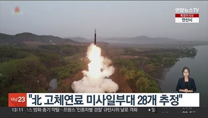 "北 고체연료 미사일부대 28개 추정"
