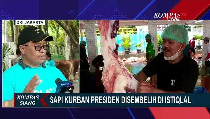 Download Video: Sapi Kurban Milik Jokowi dan Maruf Amin Disembelih di Masjid Istiqlal