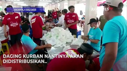 Masjid Istiqlal Gelar Pemotongan Kurban, Jumlah Sapi Naik 50 Persen