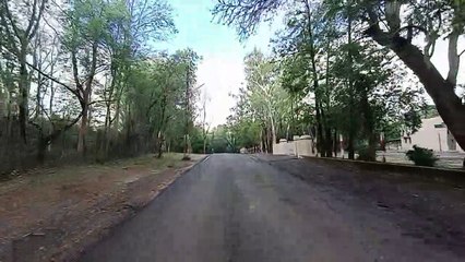 38 लाख पौधों से होगा धरती का शृंगार, हरियाली से गुलजार होगी संस्कारधानी