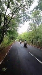 38 लाख पौधों से होगा धरती का शृंगार, हरियाली से गुलजार होगी संस्कारधानी
