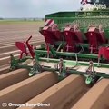 Farming innovation potato planting machines #shorts #viral #shortsvideo #video #innovationhub