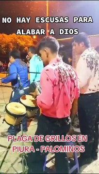 No hay excusas para alabar a Dios : Orquesta sorprende al tocar cubiertos de grillos