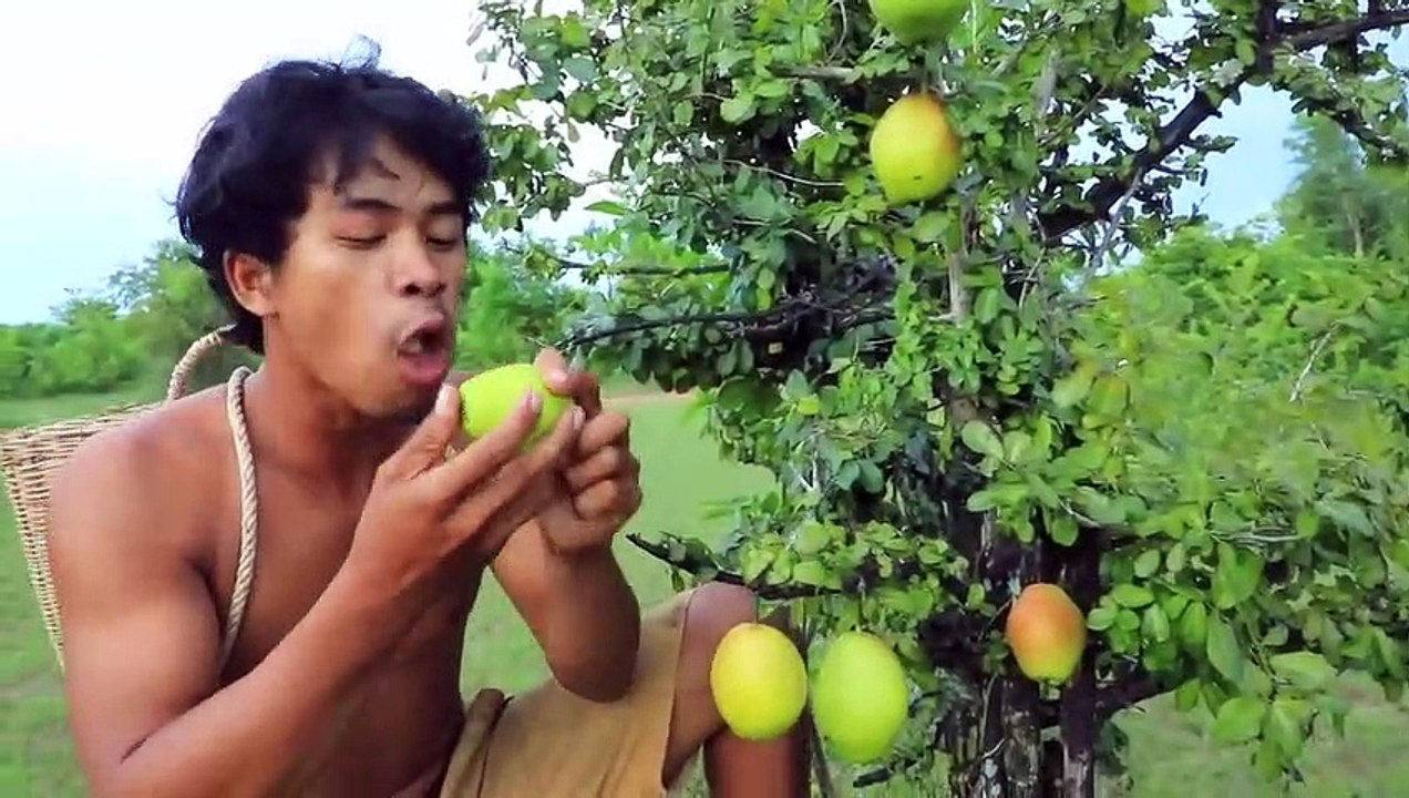 duck hunting meets pear fruit,pear fruit grows by the forest ,duck survive in the mud