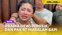 Dewi Perssik Nangis Kejer Dibentak Pak RT Gara-Gara Sapi: Mungkin Itu Karma