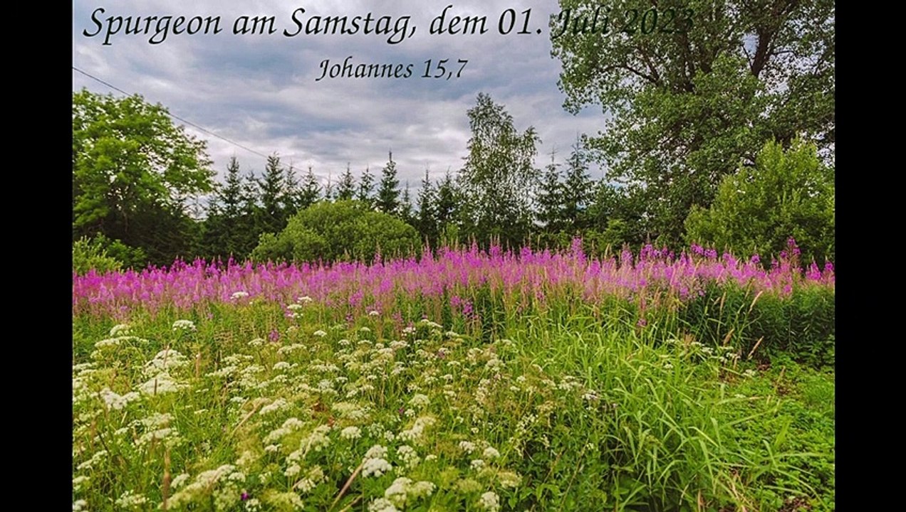 Spurgeon am Samstag, dem 01. Juli 2023