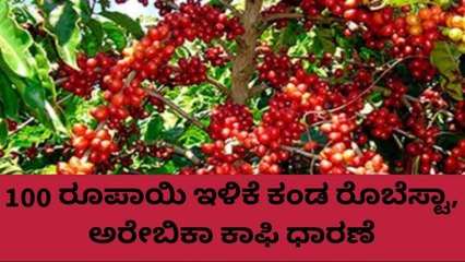 ಕಾಫಿ ಬೆಳೆಗಾರರು ಫುಲ್ ಖುಷ್: ಹೀಗಿದೆ ನೋಡಿ ರೇಟ್