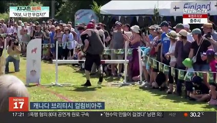 [지구촌톡톡] "오빠, 나 무거워?" 캐나다 아내 업고 달리기 대회 外