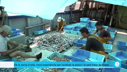 De la xarxa al plat, nova experiència immersiva per conèixer la pesca i peix fresc de Ros