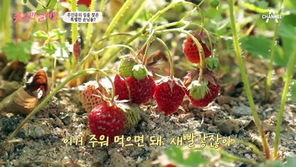 없는 게 없는 주인공의 러브하우스✿ 갑작스레 집에 찾아온 손님의 정체는?!