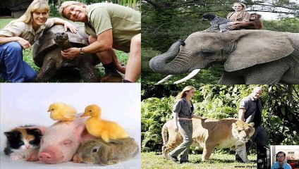 Sinh 11 - Bài 32 Tập tính của động vật (tt)