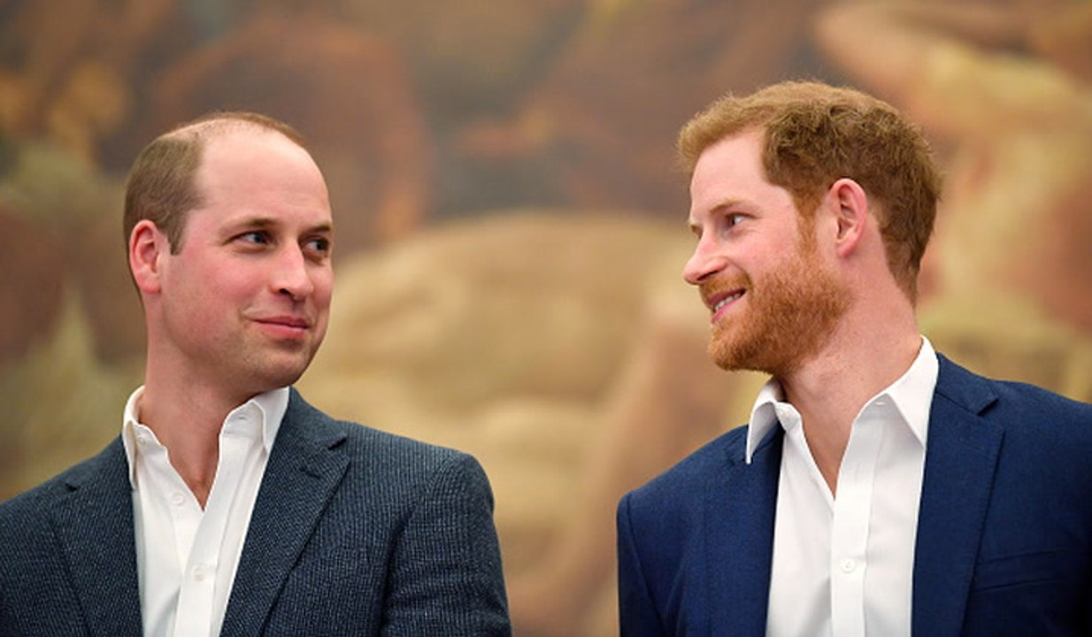 Trotz Brüder-Zwist: William und Harry machen für Lady Diana gemeinsame Sache
