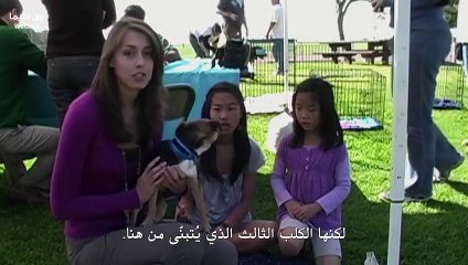 مشاهدة فيلم Victim_Suspect 2023 مترجم 🎬: قصة صحفية تكشف أسرار قضية امرأة متهمة ببلاغ كاذب