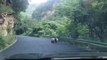 Un panda sauvage repéré sur la route dans les montagnes Qinling en Chine